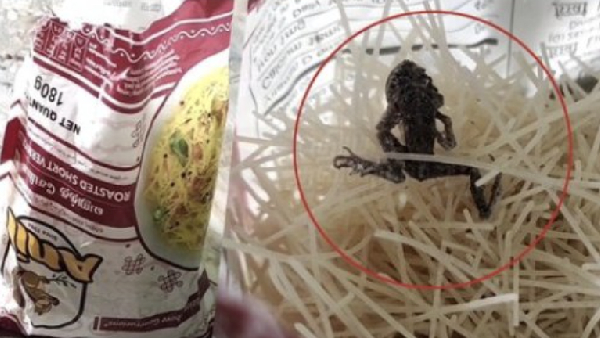 Dead frog in Anil semiyas pocket shocks in Devakottai 