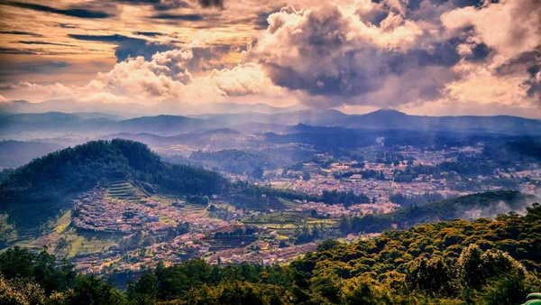  Online registration system to regularize tourist arrival in Ooty: suggest by Madras High Court 