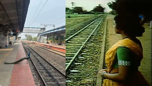 Train: Is this same mayilu in 1977 super hit film 16 Vayathinile waiting for her lover? Train: Is this same mayilu in 1977 super hit film 16 Vayathinile waiting for her lover?