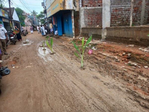 Potholed roads in Tanjore, people protested by planting bananas Potholed roads in Tanjore, people protested by planting bananas
