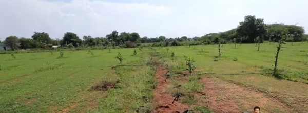  Chief Minister Stalin convert 16 acres of idle land into agricultural land