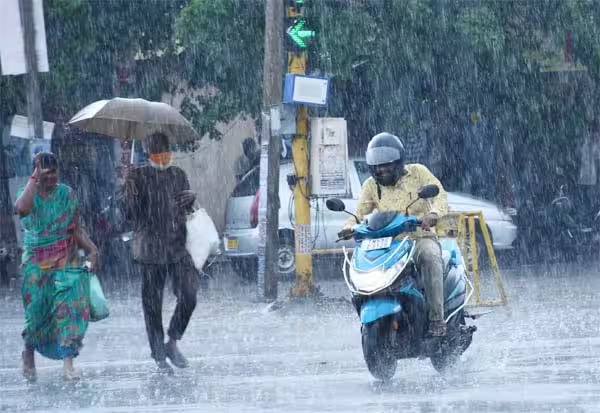 Meteorological Department issued orange alert that 4 districts receive very heavy rain today 