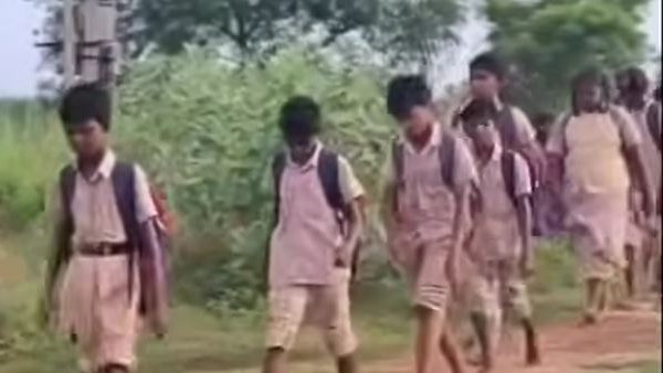  TN government has arranged a free auto facility for the Irula children living in Gandhigram to go to school and study