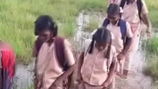  TN government has arranged a free auto facility for the Irula children living in Gandhigram to go to school and study