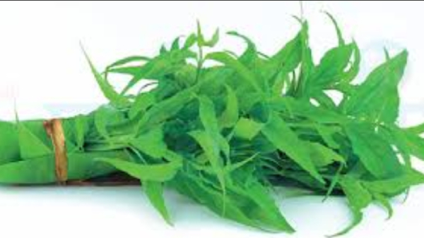 Do you know Excellent Benefits of Nilavembu and Nilavembu Kudineer is the Best Medicine for Diabetics