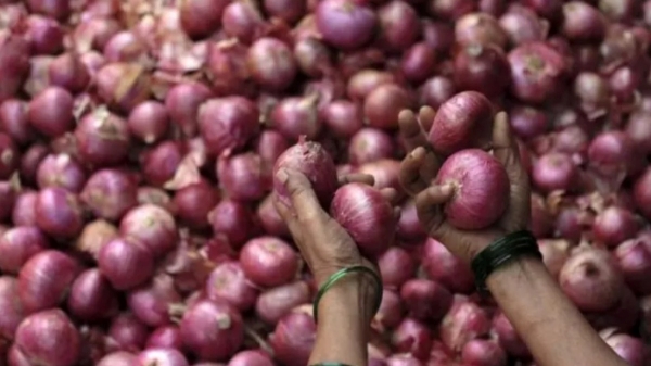 Housewives are in tears as the prices of big onions and small onions rise 