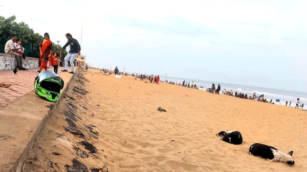 20 More new brand beaches are going to come up in Chennai Corporation area 20 More new brand beaches are going to come up in Chennai Corporation area