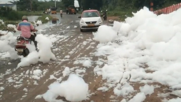 Toxic Foam From Channel Poses Threat To Road Users near Madurai 