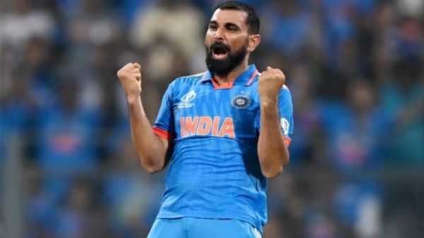 A fan predicted that Mohammed Shami will get 7 wickets in World cup 