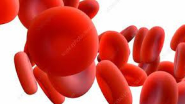 Do you know Health Benefits of Palm Oil and Peanut oil is the Best for Healthy Heart Do you know Health Benefits of Palm Oil and Peanut oil is the Best for Healthy Heart