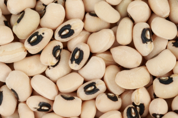 Do you know Health Benefits of Green Gram and Thattam Payiru is the Best Food for Weight Loss