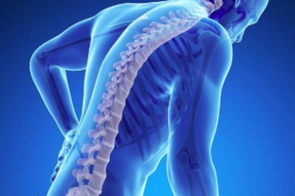 Do you know Excellent Benefits of Mushroom and Broccoli is the Best food for Bone Strength 