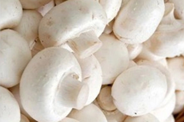 Do you know Excellent Benefits of Mushroom and Broccoli is the Best food for Bone Strength 