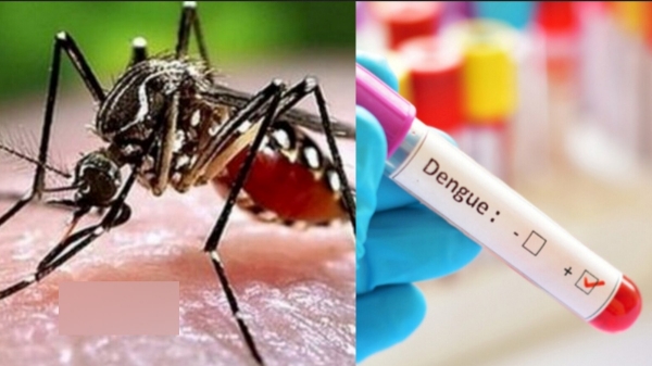 Pudukottai faces severe Dengue spread over 229 people infected 