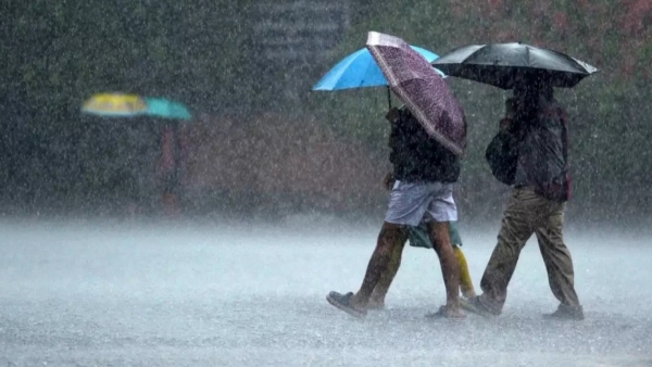 Do you know how much rain fell in Chennai from 6 pm yesterday till now? 