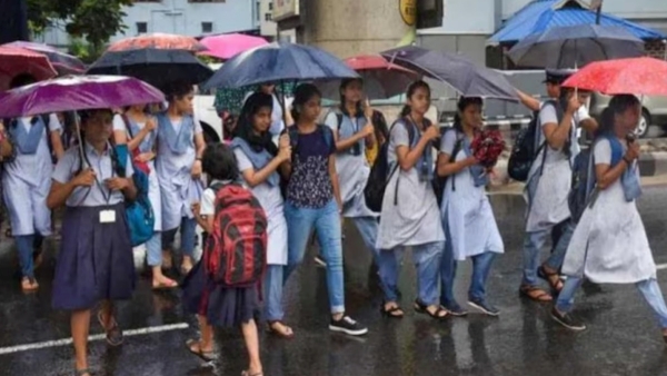 8 districts collectors announced holiday for schools 