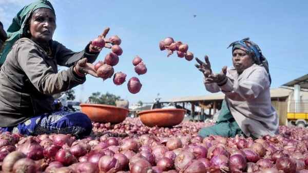 Centre initiates retail sale of onion Rs.25 per 1 kg 