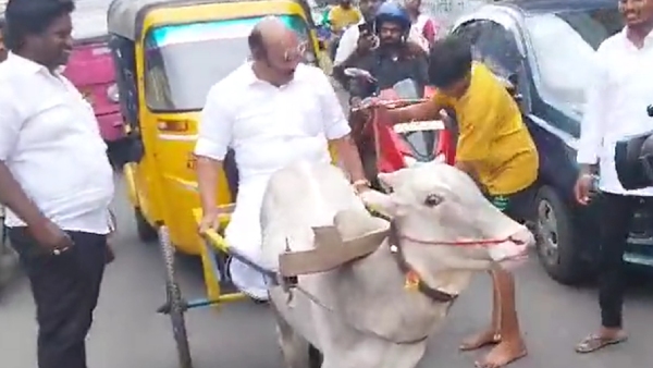 AIADMK Former minister D Jayakumar who drove a bullock cart in Chennai 