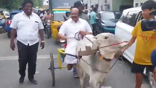 AIADMK Former minister D Jayakumar who drove a bullock cart in Chennai 