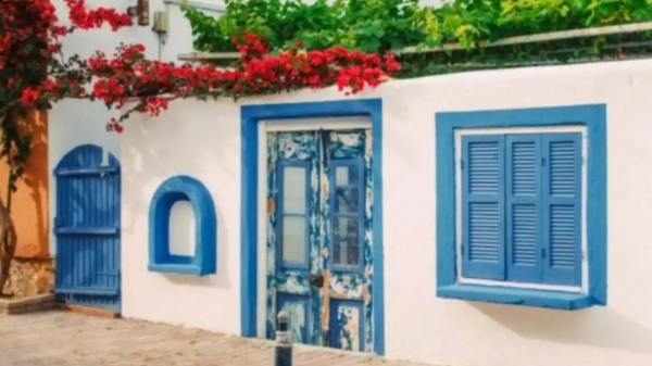  Optical illusion; only 2 Percentage of people find the cat with in 10 seconds in this image are you ready 