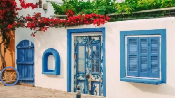  Optical illusion; only 2 Percentage of people find the cat with in 10 seconds in this image are you ready 