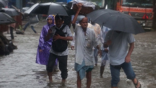 Holiday announced for schools in Chennai and Chengalpattu due to heavy rain 