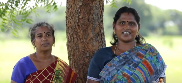  Chief Minister Stalin convert 16 acres of idle land into agricultural land