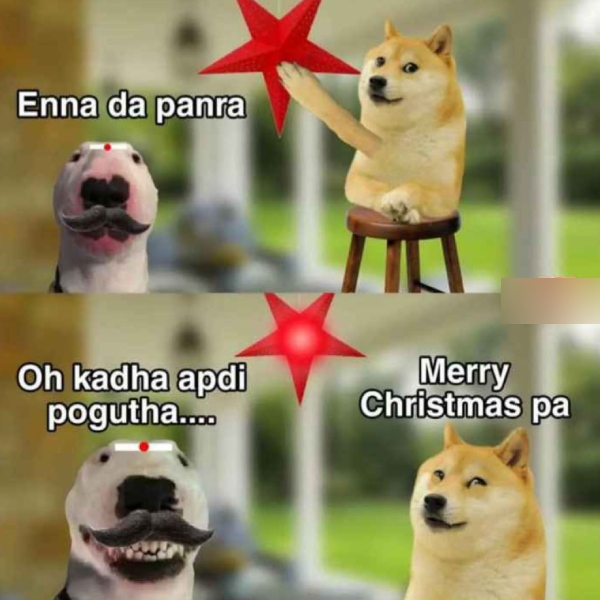 calender memes: Funny memes collection on december month and New year 26-12-23