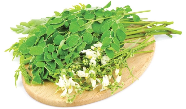 Do you know the Amazing Health Benefits of Drumstick Leaf and What good nutrients are in drumsticks Leaves Do you know the Amazing Health Benefits of Drumstick Leaf and What good nutrients are in drumsticks Leaves