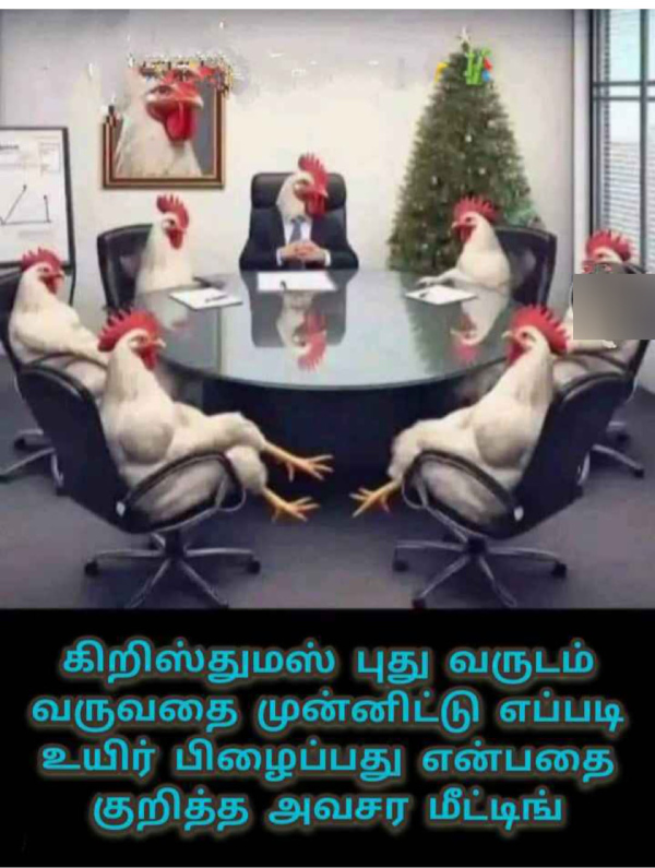 Christmas memes: Funny memes collection on Christmas celebration 25-12-2023