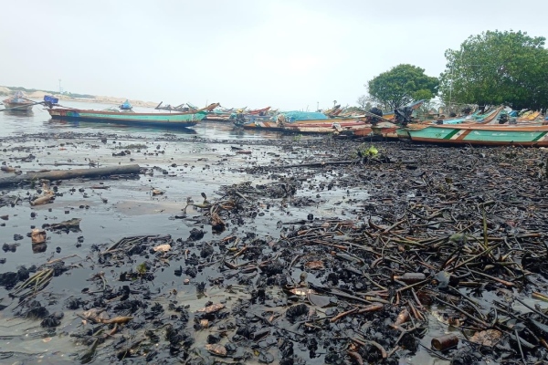 Experts have suggested some ideas to prevent rain floods in Chennai
