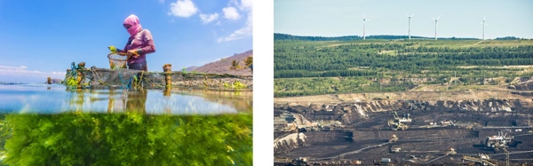 What are the dangers of climate change in Tamil Nadu?
