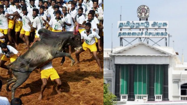 When will Jallikattu competitions start in Tamil Nadu Government announced Dates and venues 