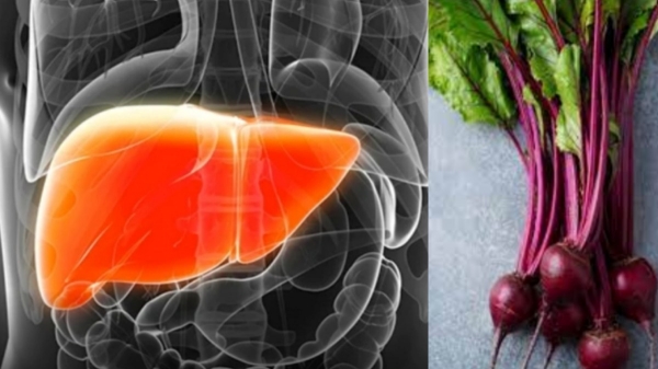 Do you know Health Benefits of Indian gooseberry and what are the Best Food protect the liver 