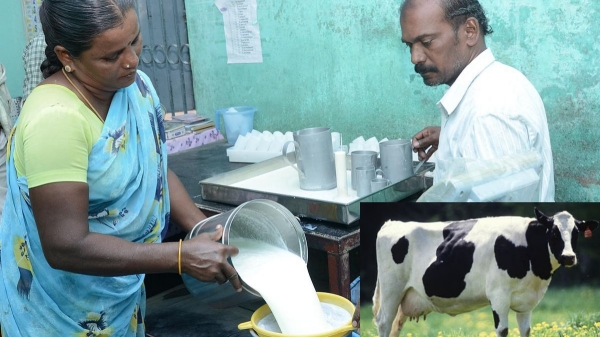 Anbumani Ramadoss said that the increase in the Aavin milk procurement price is not enough 