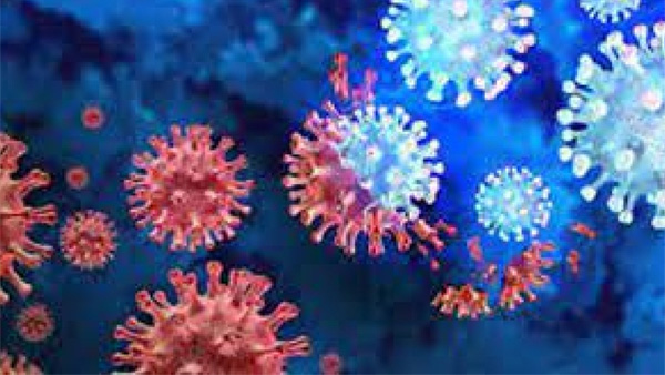 who-classified-jn-1-corona-virus-strain-as-a-variant-of-interest