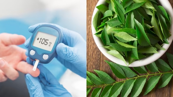 Do you know the excellent benefits of Curry leaves (Karuvepillai)? 