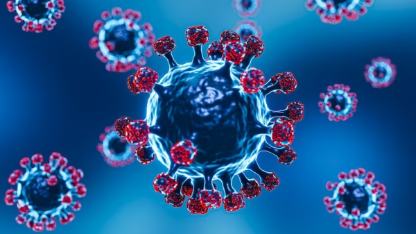 After Kerala JN.1 Corono virus detected in Goa and Maharashtra, says Union government After Kerala JN.1 Corono virus detected in Goa and Maharashtra, says Union government