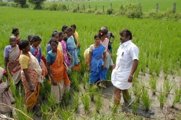 Gangai Amaran expressed concern over Vijayakanth death 