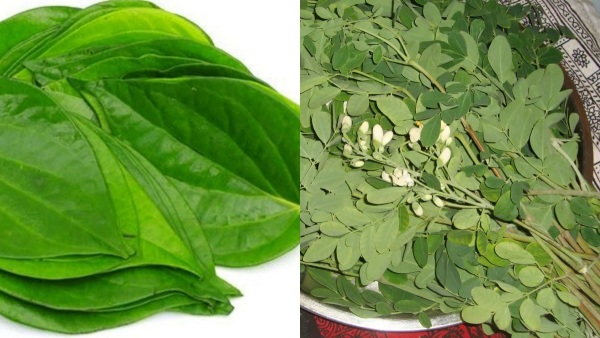 Do you know Amazing benefits of Betel Leaf and Best Green Leafy foods for importance Problem