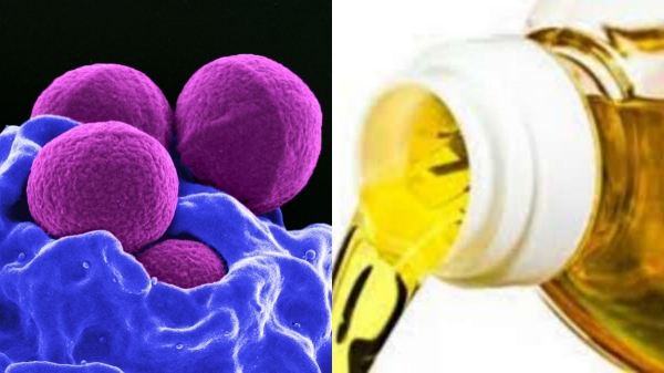 Do you know the Health Benefits of Palm Oil and Which is the best oil for regular cooking 