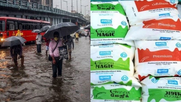  Cyclone Michaung Aavin milk supply has been affected in many places in Chennai 