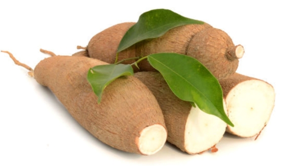 Do you know the Excellent Benefits of Sweet Potato and Karunai Kizhagu is the Best choice for Weight Loss Do you know the Excellent Benefits of Sweet Potato and Karunai Kizhagu is the Best choice for Weight Loss