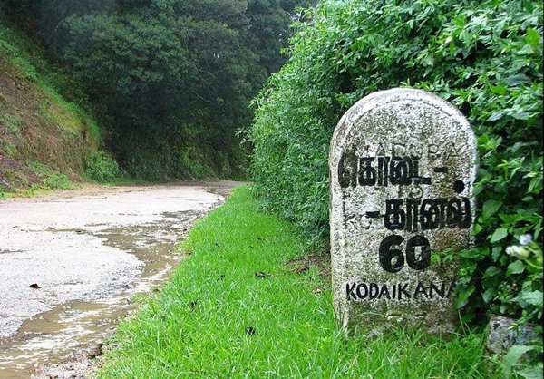 Want to travel on Kodaikanal to Munnar Escape Route? You can go for a picnic in the dense forest