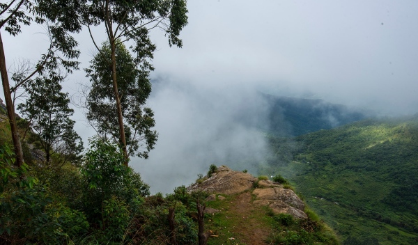 Super location at 30 Kms on Kodaikanal side: Another level tourist spot to celebrate Christmas 