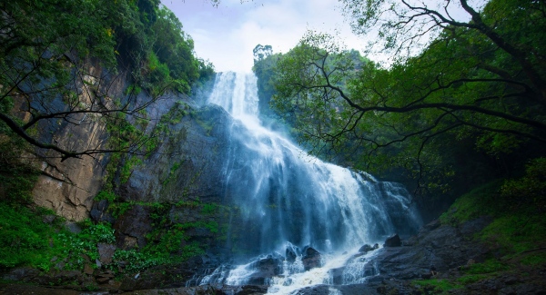 Super location at 30 Kms on Kodaikanal side: Another level tourist spot to celebrate Christmas 