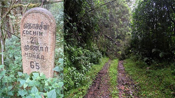 Want to travel on Kodaikanal to Munnar Escape Route? You can go for a picnic in the dense forest