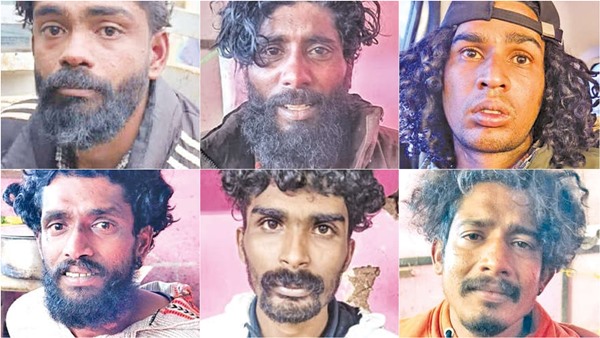 New information about a gang of 7 people who sold magic mushrooms to tourists in Kodaikanal