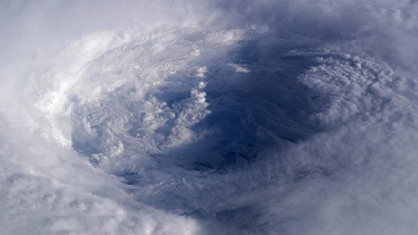 Tamil Nadu government has announced that 12 districts are ready to face Cyclone michaung 