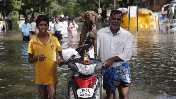  Chennai flood Will home insurance covers fridge, TV, jewellery damages